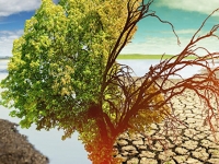 Изменение климата угрожает итальянским фирмам потерей более 40 млрд. евро 