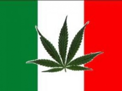 Марихуана италия какие светодиоды для марихуаны