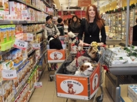 Супермаркеты открывают двери котам и собакам