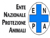 Защитники природы Италии просят не дарить животных на Новый год