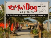 DOG BEACH RIMINI - в Италии набирают популярность собачьи пляжи