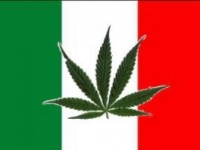 В Италии суд разрешил выращивать дома марихуану