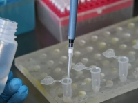 Итальянские ученые изолировали коронавирус и разрабатывают вакцину 