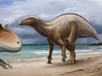 Возле Триеста обнаружили целое семейство динозавров