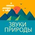 Радио Звуки природы онлайн